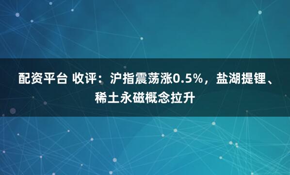 配资平台 收评：沪指震荡涨0.5%，盐湖提锂、稀土永磁概念拉升